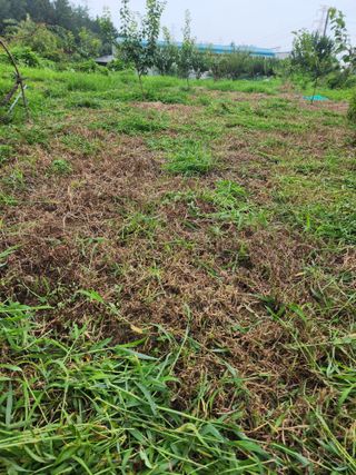 박병한님의 기타작물 · 영농일지 작성글 사진