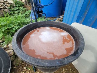 날씨가 흐려 방제가님의 사과 · 영농일지 작성글 사진