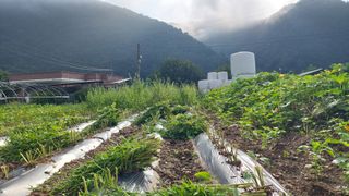 유병욱님의 기타작물 · 영농일지 작성글 사진