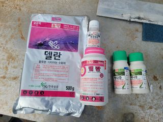 날씨가 흐려 방제가님의 사과 · 영농일지 작성글 사진