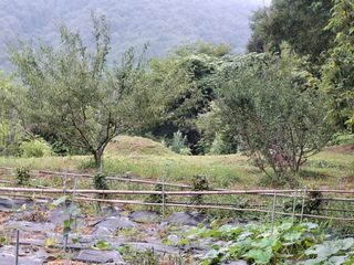 형남영님의 기타작물 · 영농일지 작성글 사진