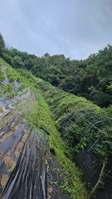 팜모닝 들깨·영농일지 게시글 이미지