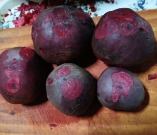 인생은 소풍처럼님의 기타작물 · 영농일지 작성글 사진