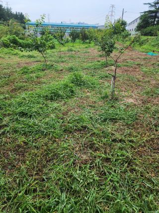 박병한님의 기타작물 · 영농일지 작성글 사진