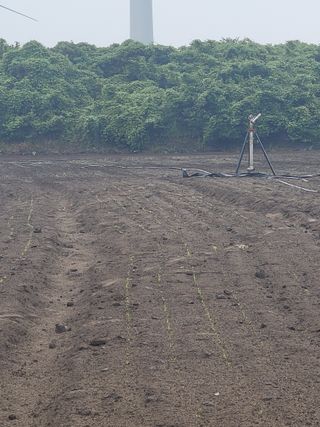 한경훈님의 기타작물 · 영농일지 작성글 사진