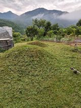 팜모닝 기타작물·영농일지 게시글 이미지