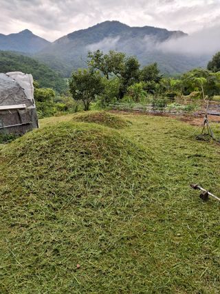 형남영님의 기타작물 · 영농일지 작성글 사진
