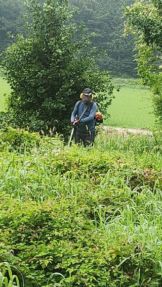 장흥 모경화 님의 기타작물 · 영농일지 작성글 사진