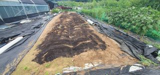 박상중님의 복숭아 · 영농일지 작성글 사진