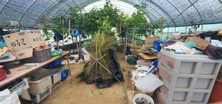 박상중님의 복숭아 · 영농일지 작성글 사진