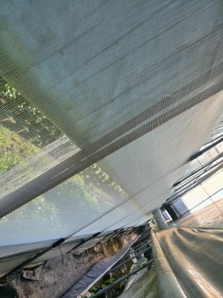 두릅나무15847님의 기타작물 · 영농일지 작성글 사진