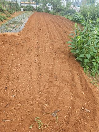 정의영님의 기타작물 · 영농일지 작성글 사진