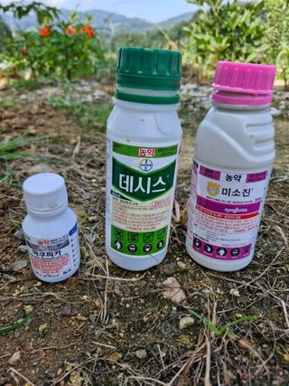 영평골님의 복숭아 · 영농일지 작성글 사진