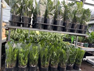 두릅나무15847님의 기타작물 · 영농일지 작성글 사진