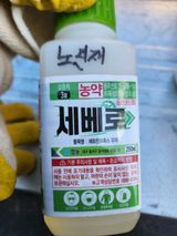 팜모닝 사과·영농일지 게시글 이미지