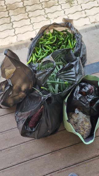 의성촌놈님의 기타작물 · 영농일지 작성글 사진