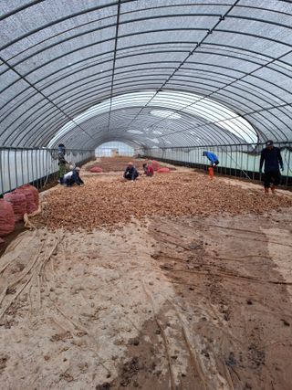 결단이님의 파 · 영농일지 작성글 사진