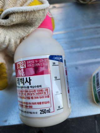 박진한님의 사과 · 영농일지 작성글 사진