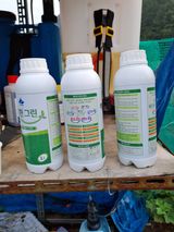 팜모닝 사과·영농일지 게시글 이미지