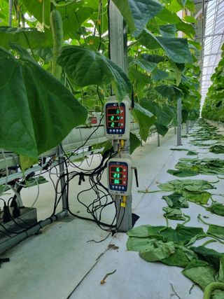 김희범님의 오이 · 영농일지 작성글 사진