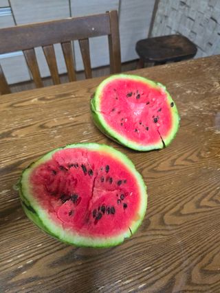 박정원님의 기타작물 · 영농일지 작성글 사진