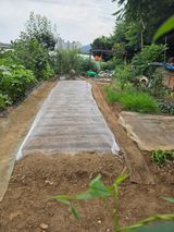 팜모닝 참깨·영농일지 게시글 이미지