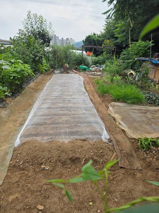 종덕님의 참깨 · 영농일지 작성글 사진