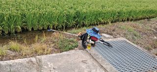 이복길님의 벼 · 영농일지 작성글 사진