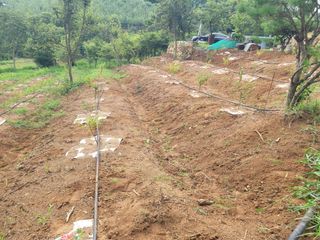 솔터농원님의 기타작물 · 영농일지 작성글 사진