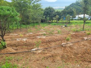 솔터농원님의 기타작물 · 영농일지 작성글 사진