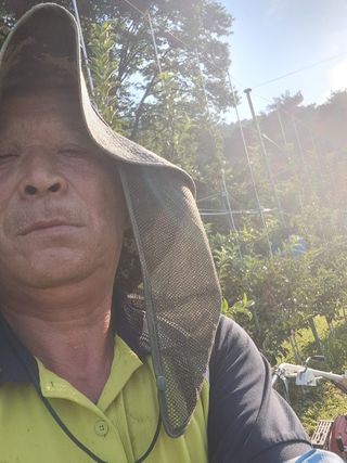 양배추20804님의 기타작물 · 영농일지 작성글 사진