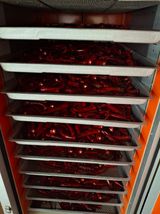 팜모닝 고추·영농일지 게시글 이미지