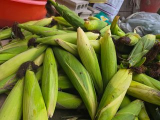 박정원님의 기타작물 · 영농일지 작성글 사진