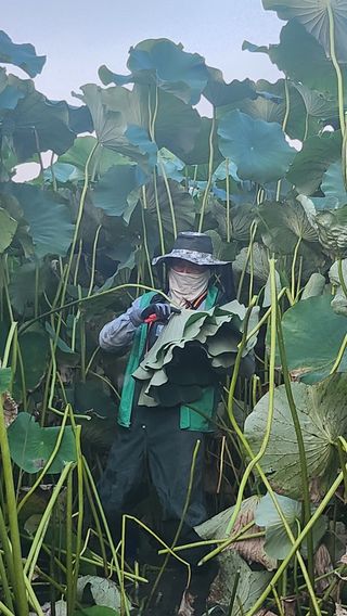 심지님의 기타작물 · 영농일지 작성글 사진