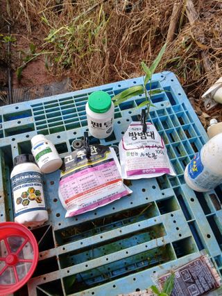 김형수님의 기타작물 · 영농일지 작성글 사진