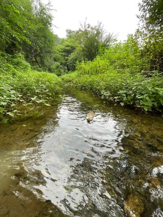 별@노래농장(정씨)님의 벼 · 영농일지 작성글 사진