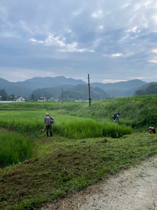 별@노래농장(정씨)님의 벼 · 영농일지 작성글 사진