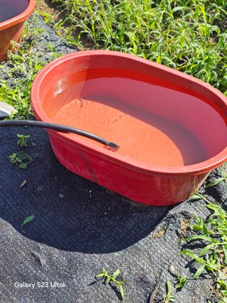 박용열조물주님 님의 고추 · 영농일지 작성글 사진