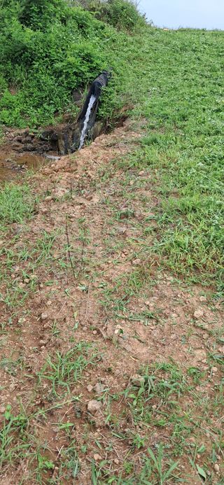 이복길님의 벼 · 영농일지 작성글 사진