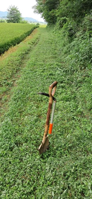 이복길님의 벼 · 영농일지 작성글 사진