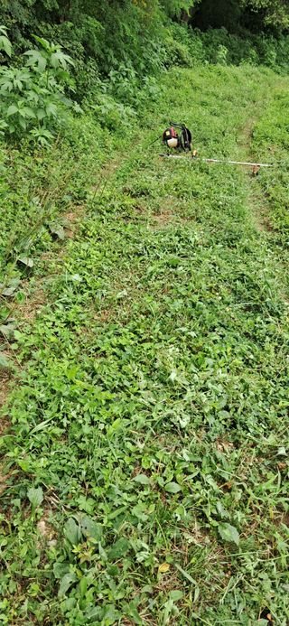 이복길님의 벼 · 영농일지 작성글 사진