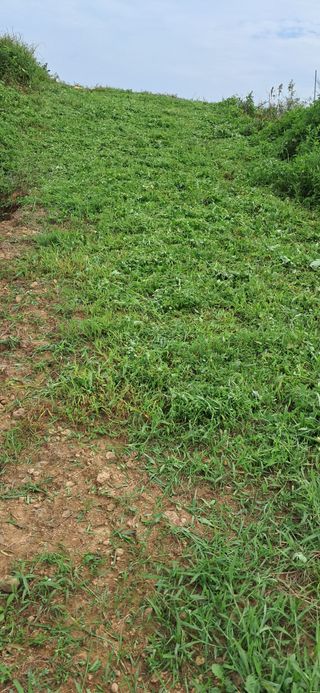 이복길님의 벼 · 영농일지 작성글 사진