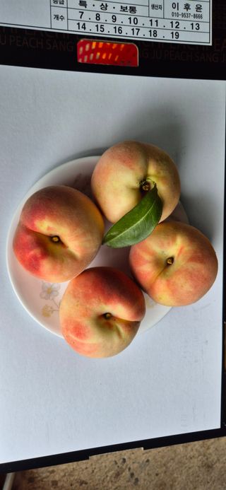 이상윤님의 복숭아 · 영농일지 작성글 사진
