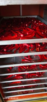 팜모닝 고추·영농일지 게시글 이미지