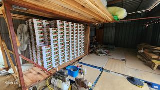 김준한님의 자두 · 영농일지 작성글 사진