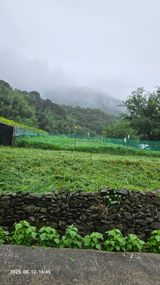 팜모닝 콩·영농일지 게시글 이미지