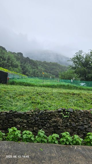 임상근님의 콩 · 영농일지 작성글 사진