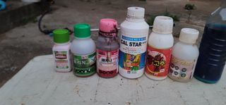 이성우님의 고추 · 영농일지 작성글 사진