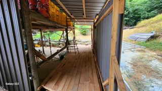 김준한님의 자두 · 영농일지 작성글 사진