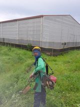 팜모닝 감·영농일지 게시글 이미지